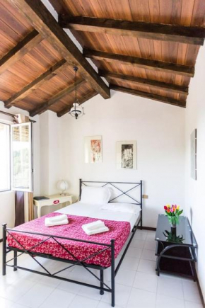 Fattoria Cristina - Fenice